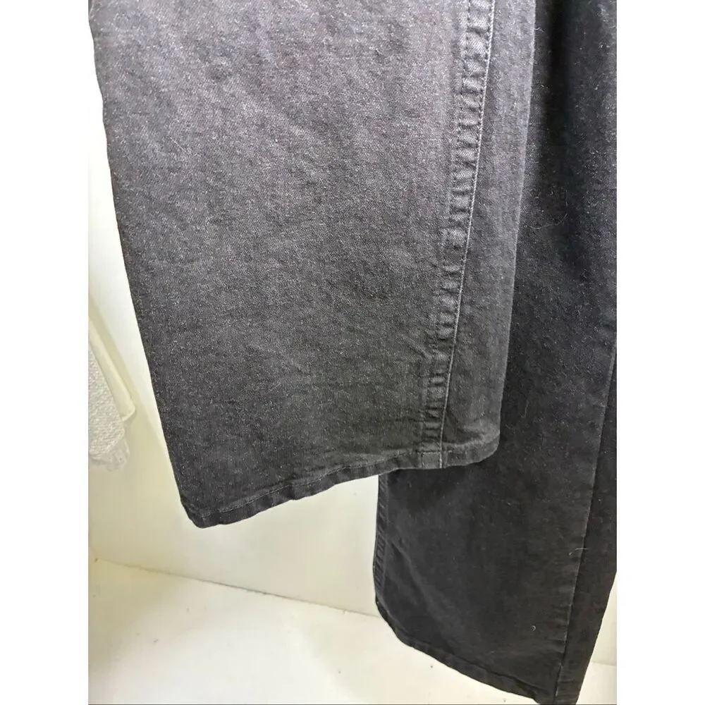 BDG Urban Outfitters NWT Teo Relaxed Flare in Black Size 27
